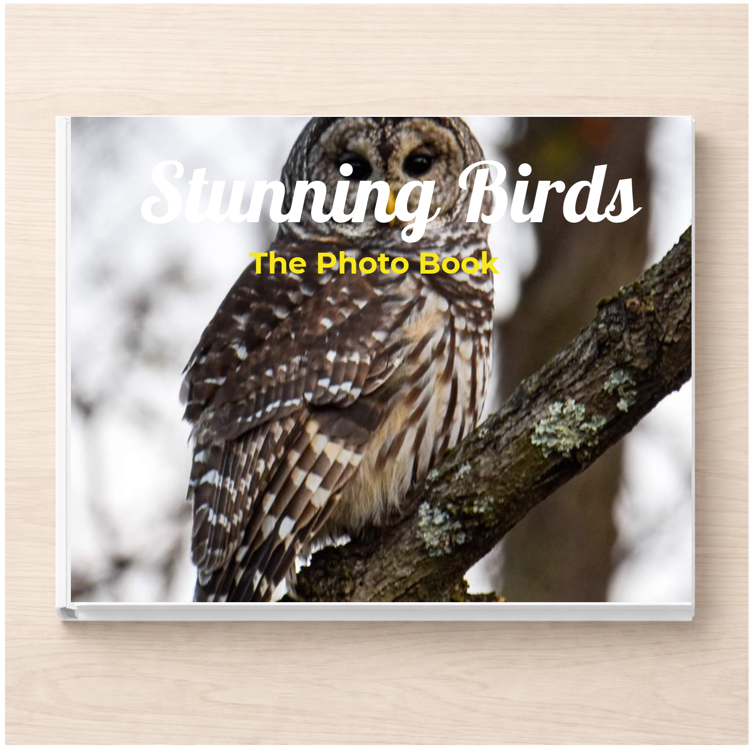 Stunning Birds: A Photo Book