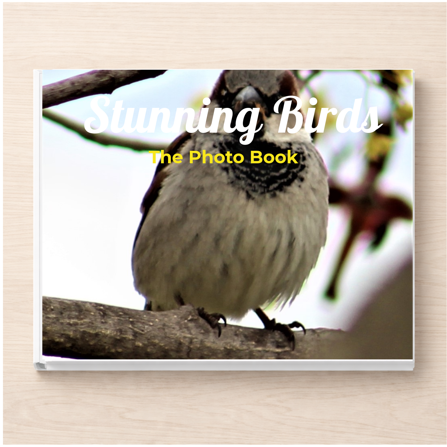 Stunning Birds: A Photo Book