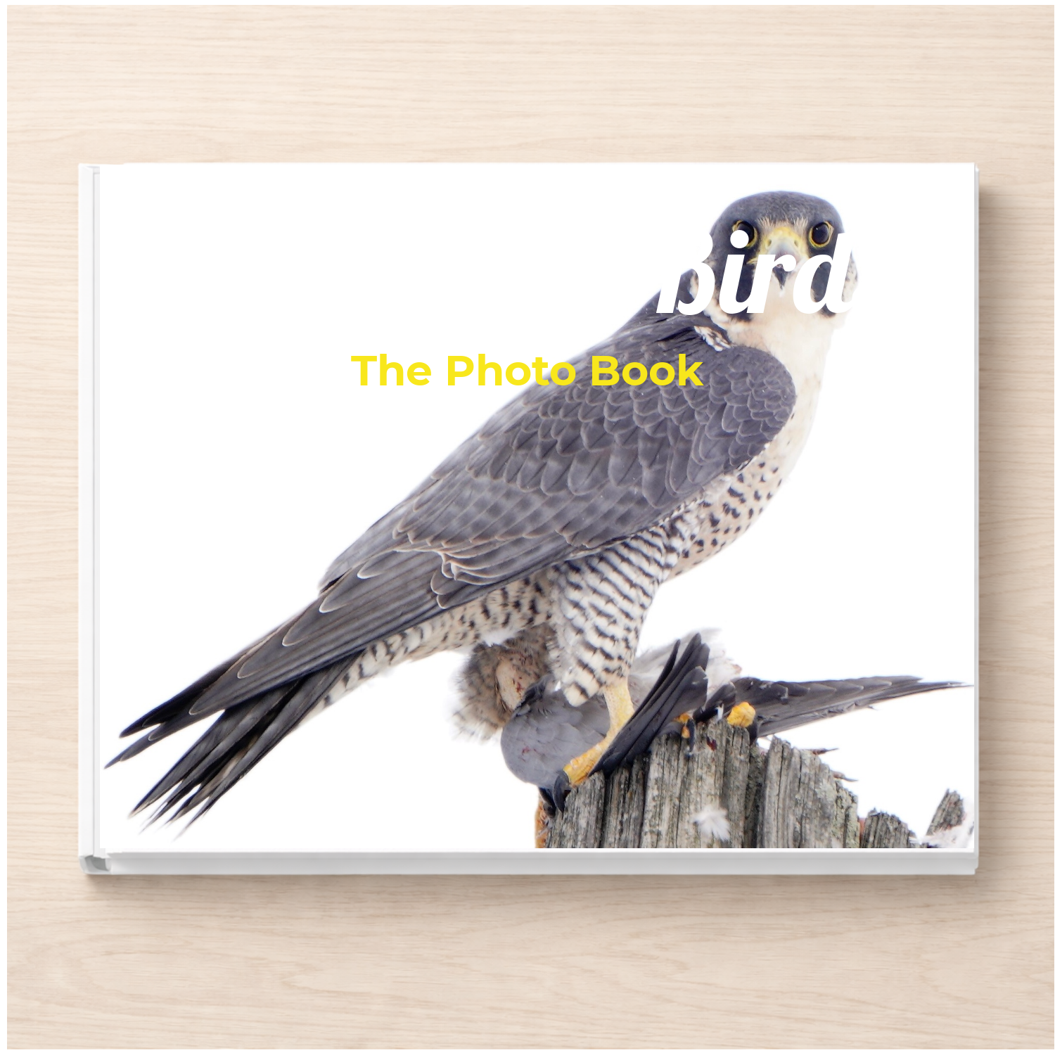 Stunning Birds: A Photo Book