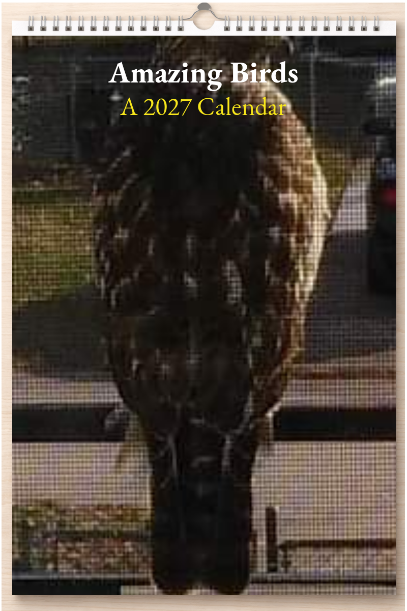 Amazing Birds: A 2027 Calendar