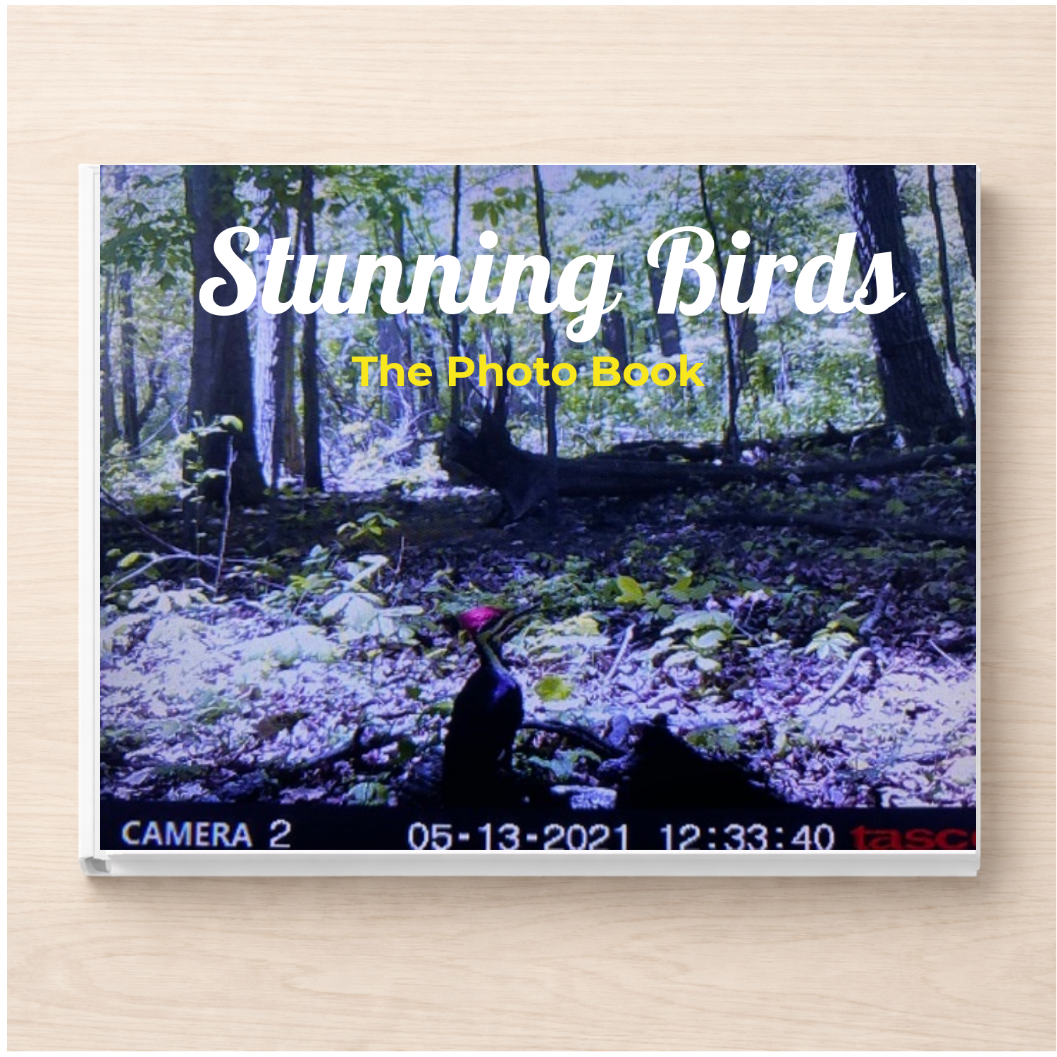Stunning Birds: A Photo Book