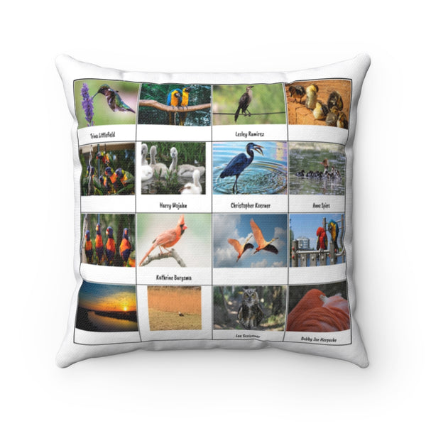 Special Bird Photography (Version 7)