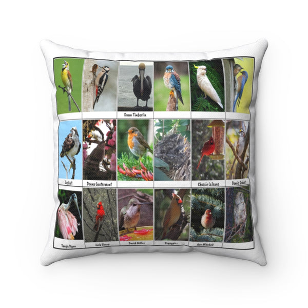 Amazing Bird Photography (Version 2)