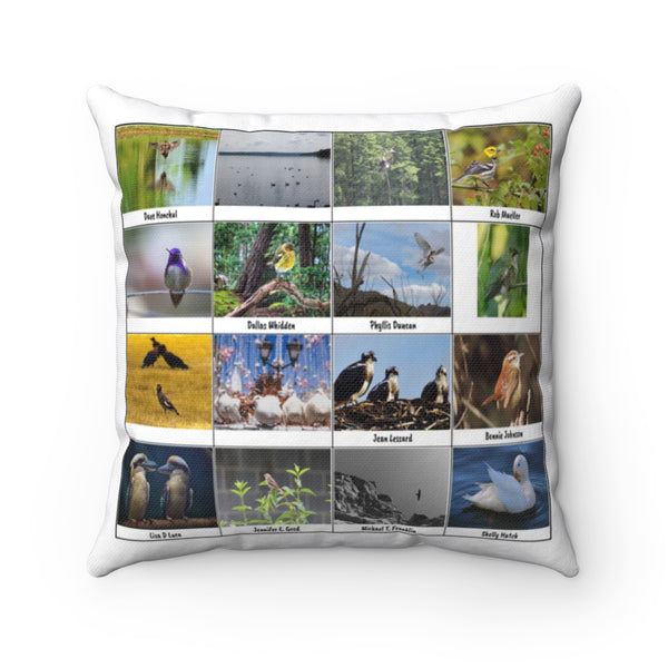 Striking Bird Photography (Version 5)