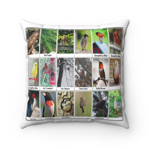 Magnificent Bird Photography (Version 6)
