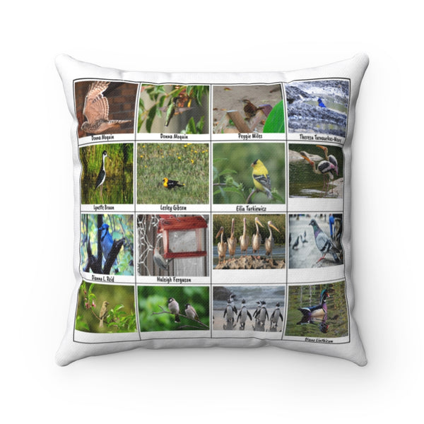 Splendid Bird Photography (Version 2)