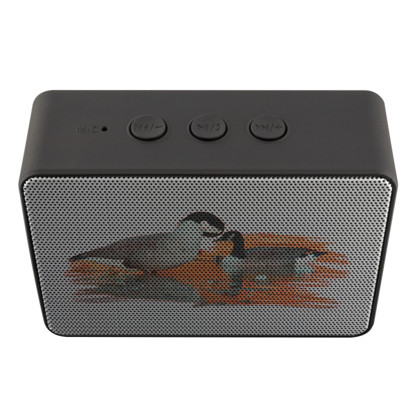 Goose Bluetooth Speaker Boxanne