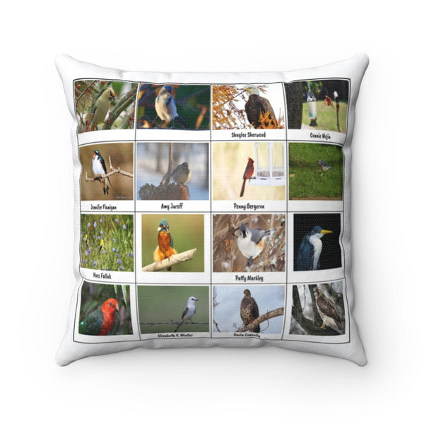 Marvelous Bird Photography (Version 3)
