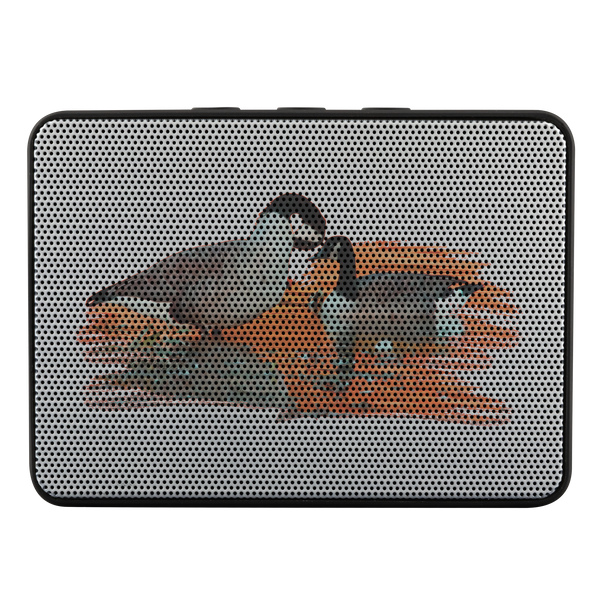 Goose Bluetooth Speaker Boxanne