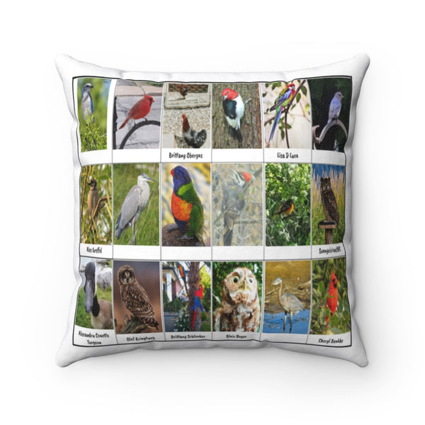 Lovely Bird Photography (Version 3)