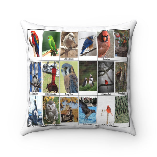 Splendid Bird Photography (Version 5)