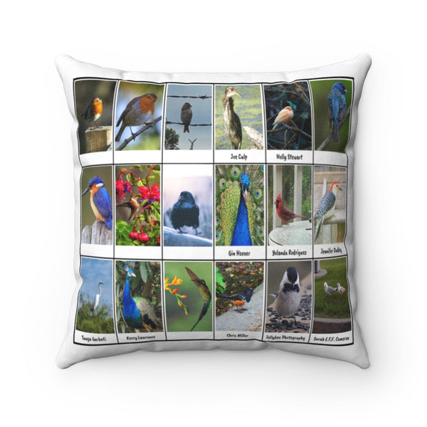 Astonishing Bird Photography (Version 2)