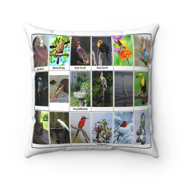 Great Bird Photography (Version 6)