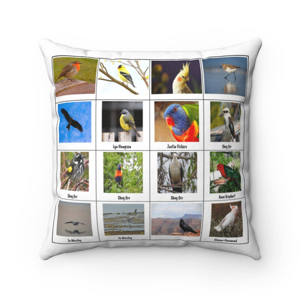 Wondrous Bird Photography (Version 4)