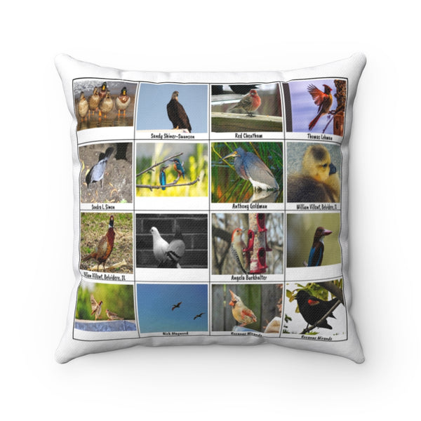 Splendid Bird Photography (Version 5)