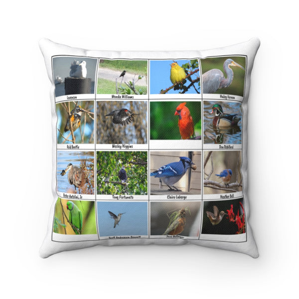 Splendid Bird Photography (Version 8)