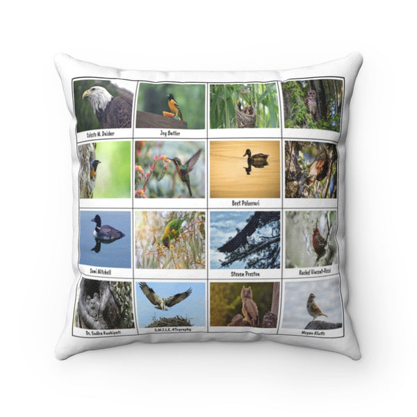 Extraordinary Birds (Version 5)