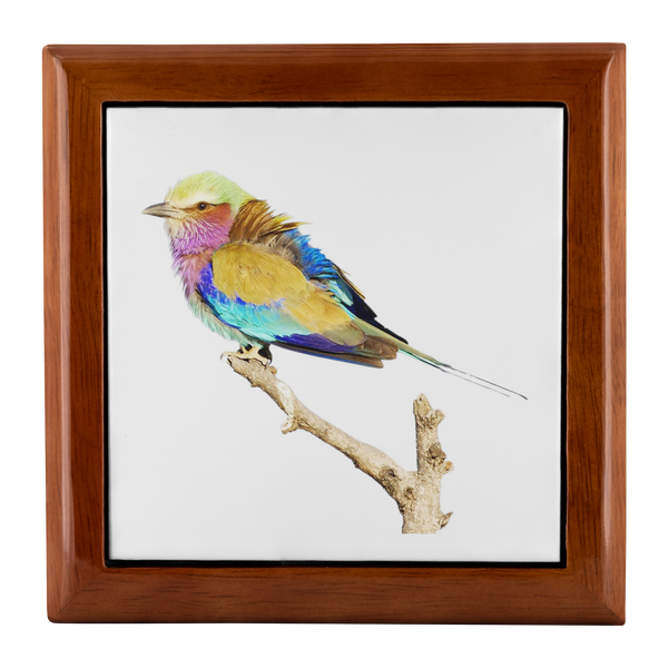 Lilac-breasted Roller Jewelry Box