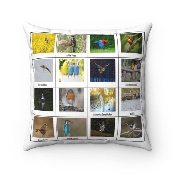 Wonderful Bird Photography (Version 4)