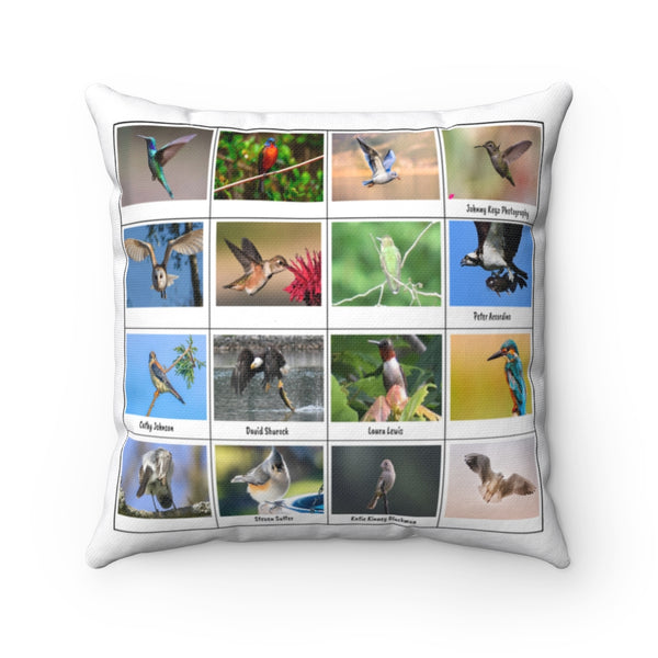 Superb Bird Photography (Version 1)