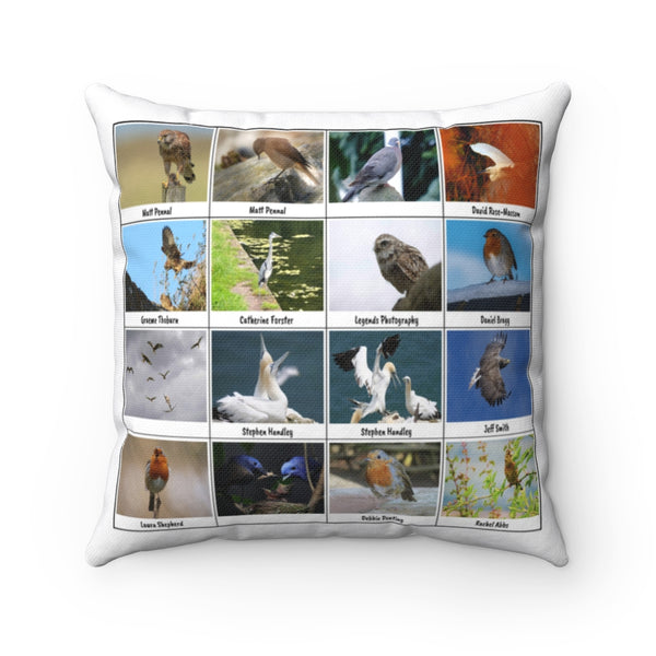 Fantastic Bird Photography (Version 4)