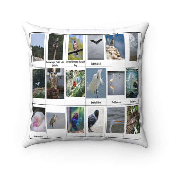 Dazzling Bird Photography (Version 7)