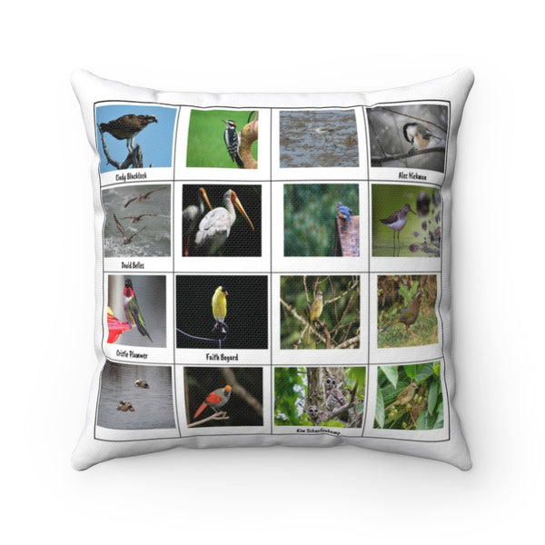 Remarkable Bird Photography (Version 4)