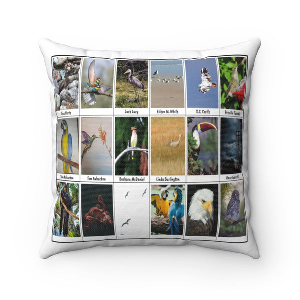 Fascinating Bird Photography (Version 7)