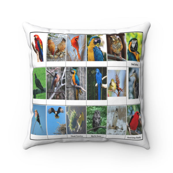 Special Bird Photography (Version 1)