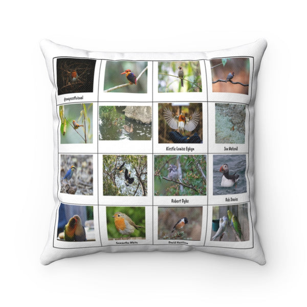 Delightful Bird Photography (Version 3)
