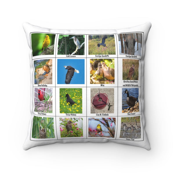 Bird Photography (Version 6)