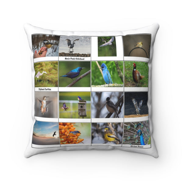 Striking Bird Photography (Version 6)
