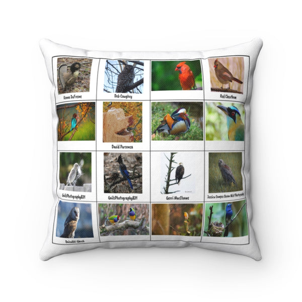 Radiant Bird Photography (Version 1)