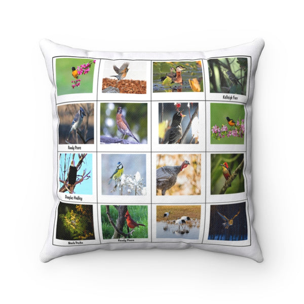 Awesome Bird Photography (Version 3)