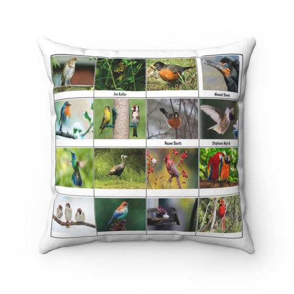Amazing Bird Photography (Version 5)