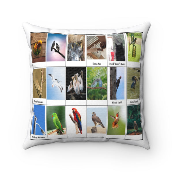 Phenomenal Bird Photography (Version 7)
