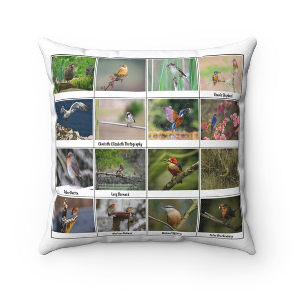 Fantastic Bird Photography (Version 1)