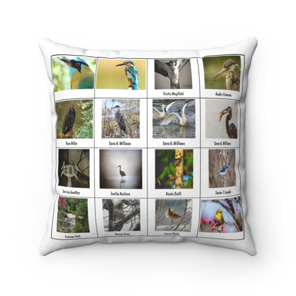 Phenomenal Bird Photography (Version 1)