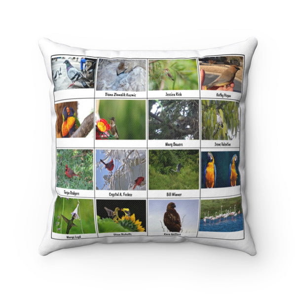 Ravishing Bird Photography (Version 2)