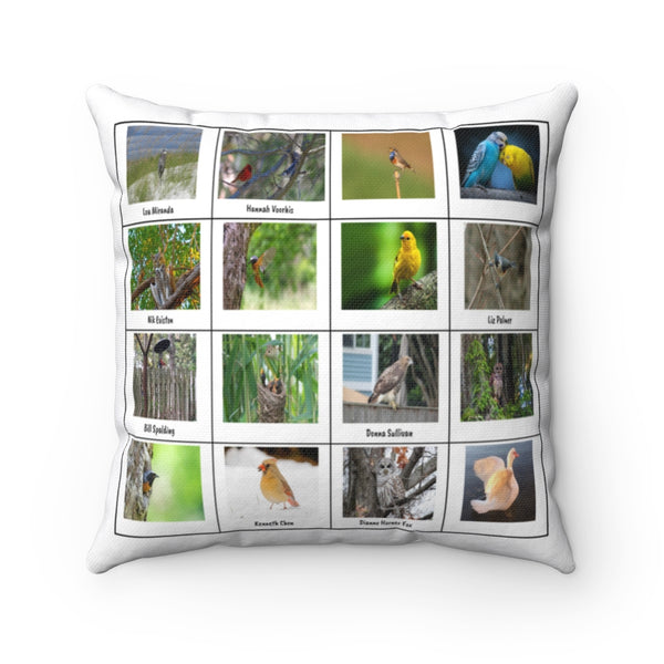 Beautiful Birds (Version 6)