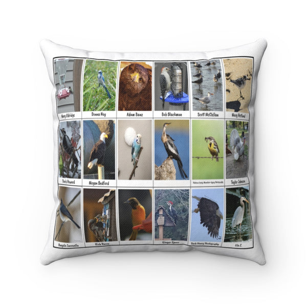 Fascinating Bird Photography (Version 5)