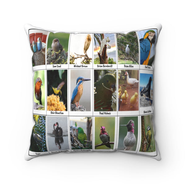 Charming Bird Photography (Version 6)