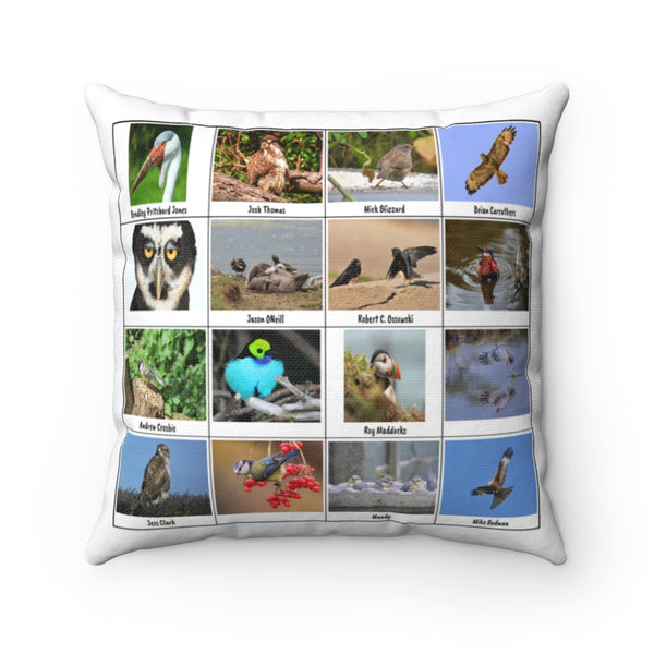 Fantastic Bird Photography (Version 2)