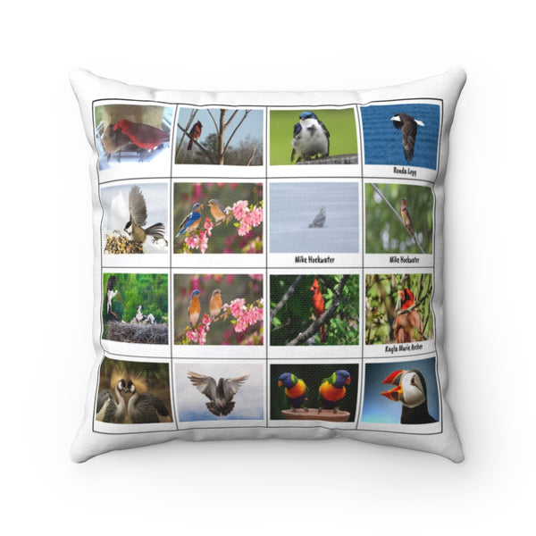 Outstanding Bird Photography (Version 8)