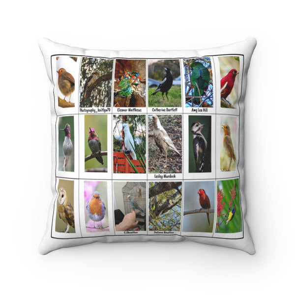 Charming Bird Photography (Version 7)
