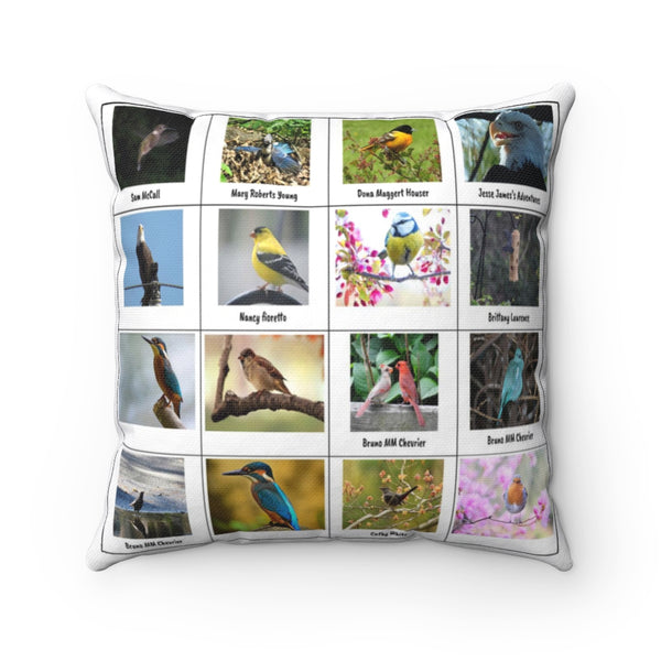Impressive Bird Photography (Version 1)