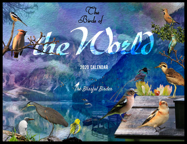 The Birds of the World: 2020 Calendar