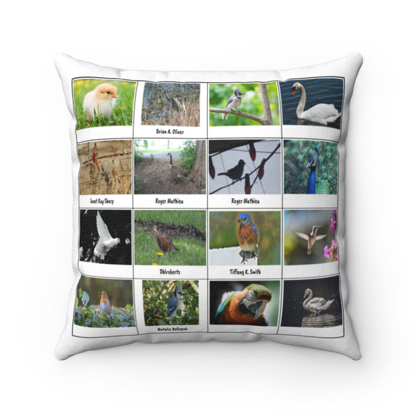 Brilliant Bird Photography (Version 5)