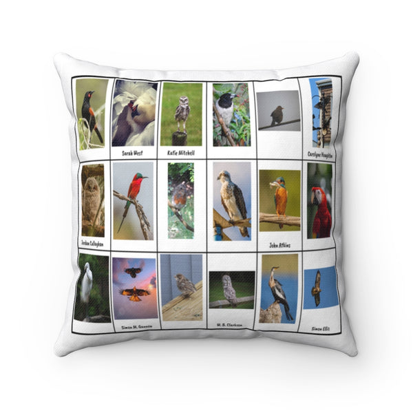 Wonderful Bird Photography (Version 6)