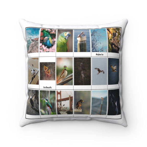 Brilliant Bird Photography (Version 7)